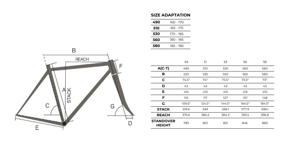 Nature Carbon Black - Gravel Complete Bike