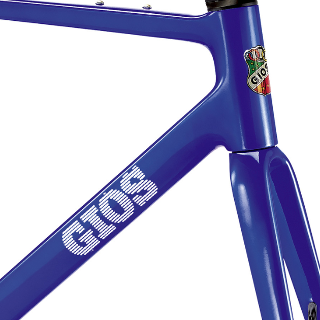 Breeze Disc Carbon Frameset